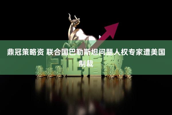 鼎冠策略资 联合国巴勒斯坦问题人权专家遭美国制裁