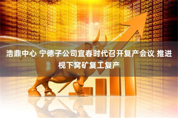 浩鼎中心 宁德子公司宜春时代召开复产会议 推进枧下窝矿复工复产