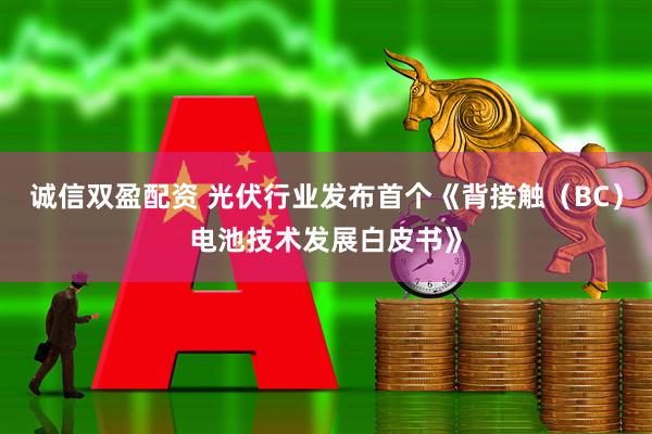 诚信双盈配资 光伏行业发布首个《背接触（BC）电池技术发展白皮书》