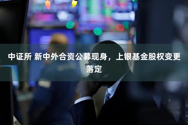 中证所 新中外合资公募现身，上银基金股权变更落定